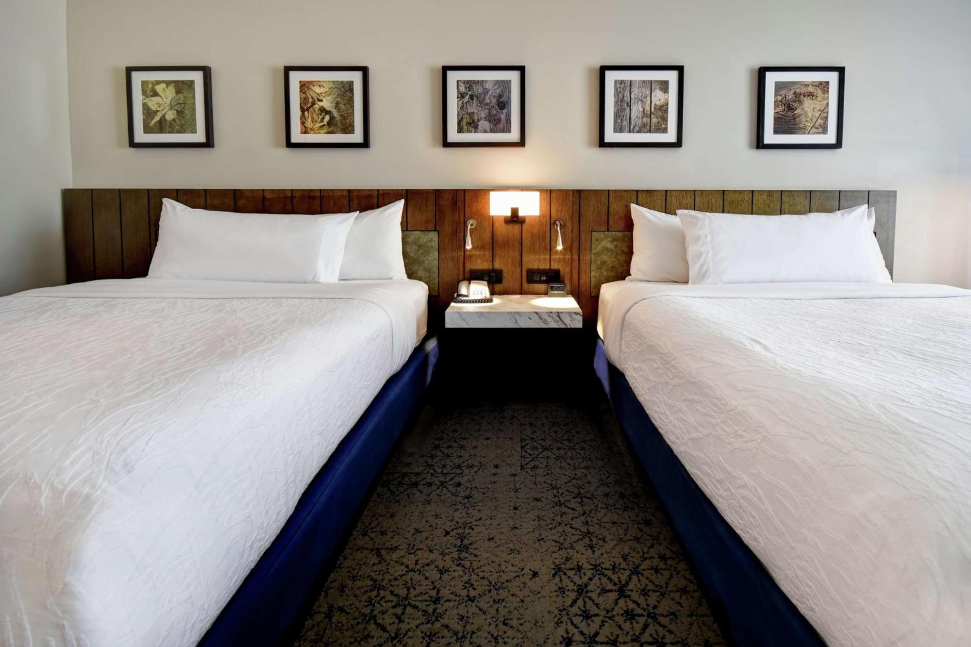 Hilton Garden Inn Джексон Екстер'єр фото