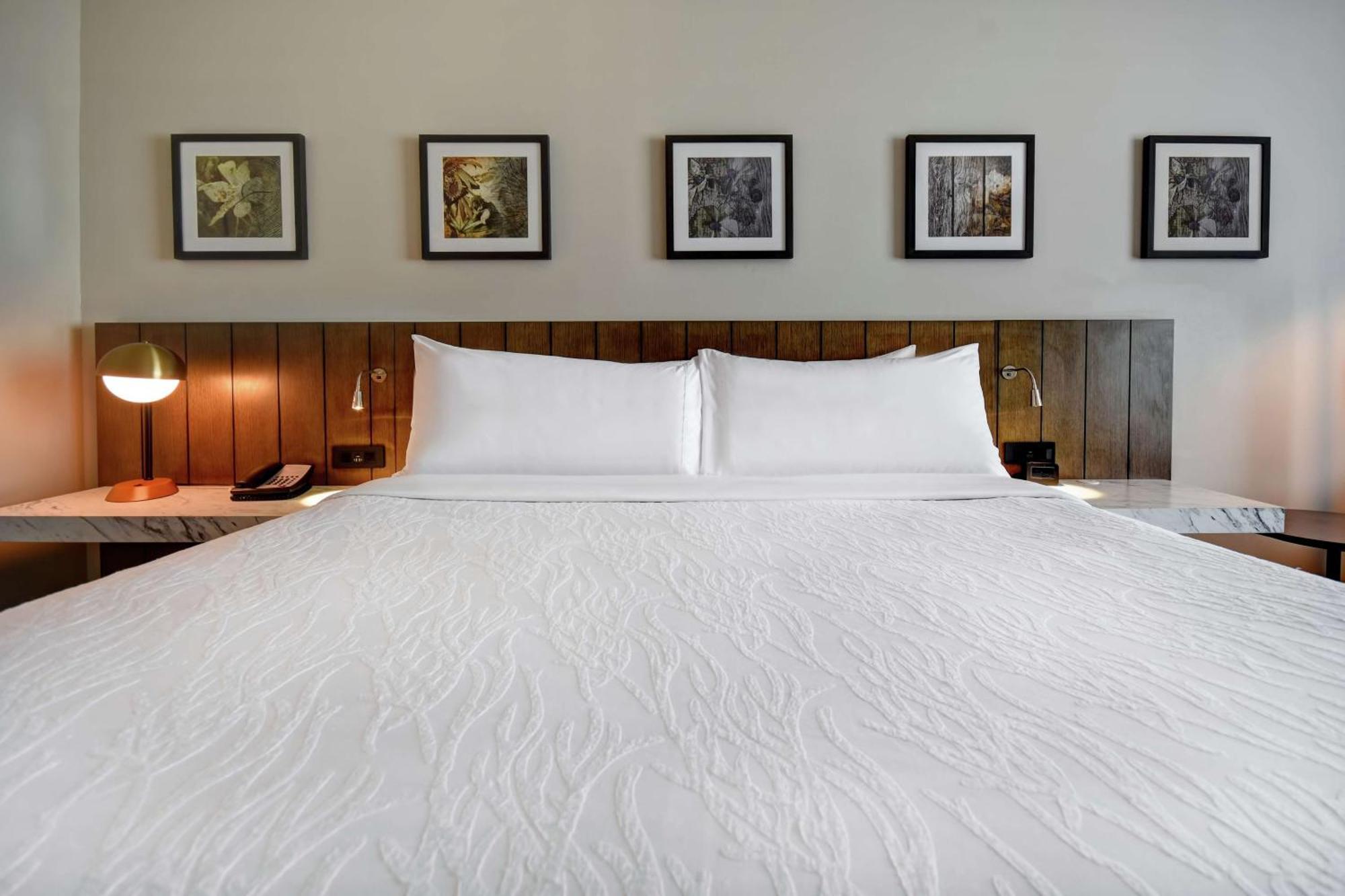 Hilton Garden Inn Джексон Екстер'єр фото